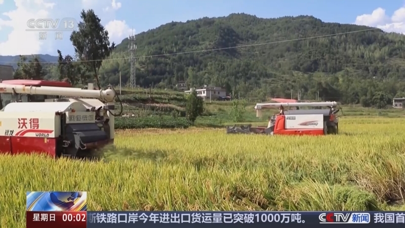 《午夜新闻》 20250921