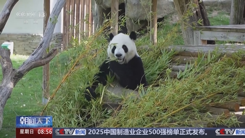 《朝闻天下》 20250921 08:00