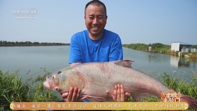 《谁知盘中餐》 20251001 丰收来敲门 水中喜品丰收味