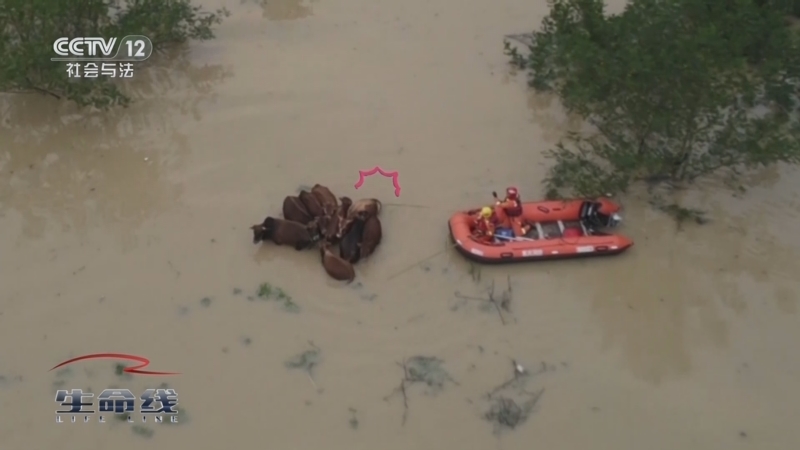 《生命线》 20251002