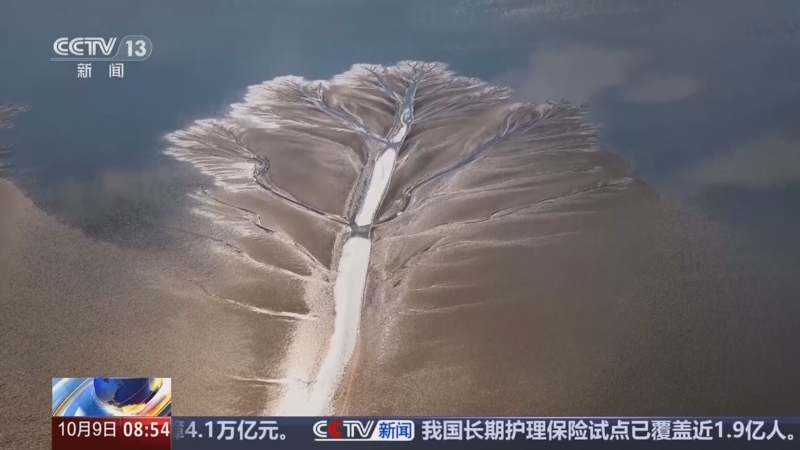 《朝闻天下》 20251009 08:00