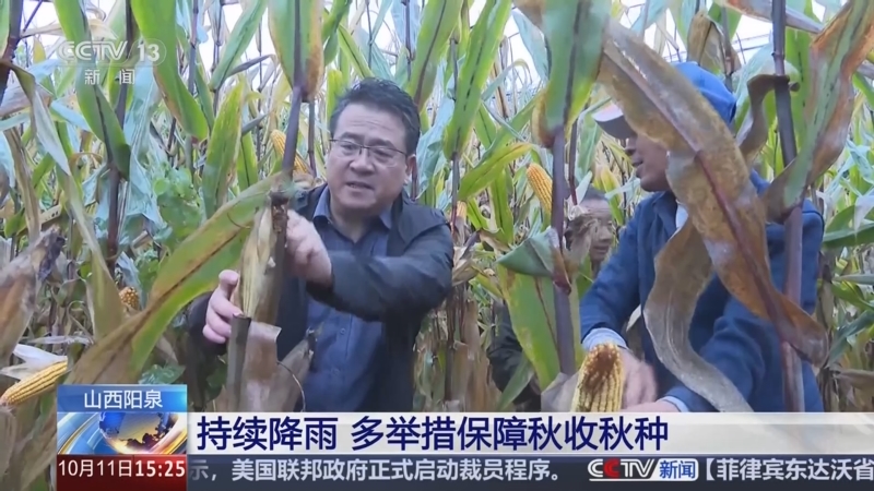 抢收，与连阴雨赛跑！——各地各部门全力以赴保秋收秋种