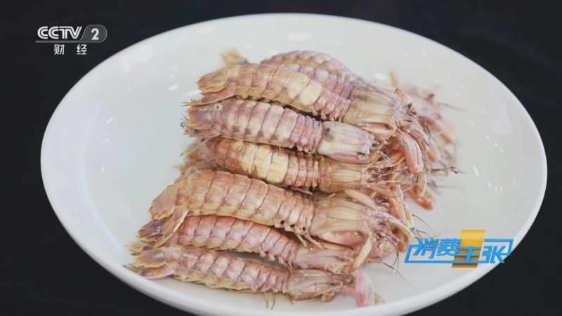 《消费主张》 20251017 皮皮虾上市，鲜甜肥美正当时！