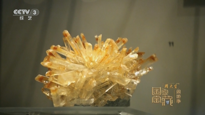 《国家宝藏·周游季》 20251018