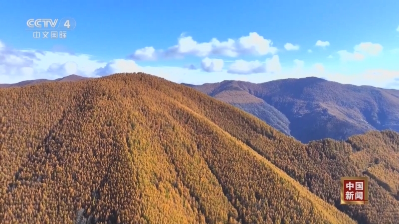 《中国新闻》 20251020 18:00