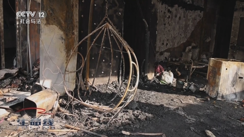 《生命线》 20251022