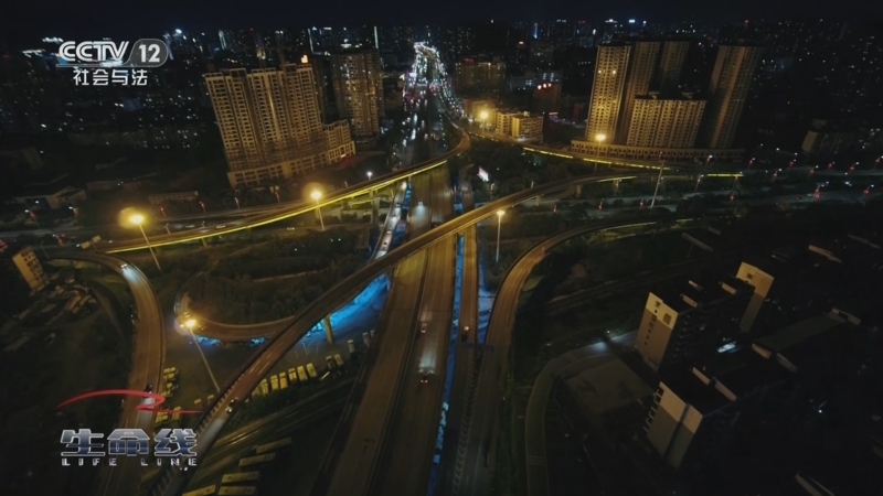 《生命线》 20251028