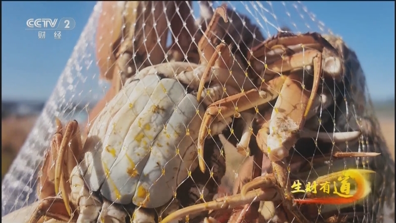 《生财有道》 20251031 稻田养好蟹 供应链生财