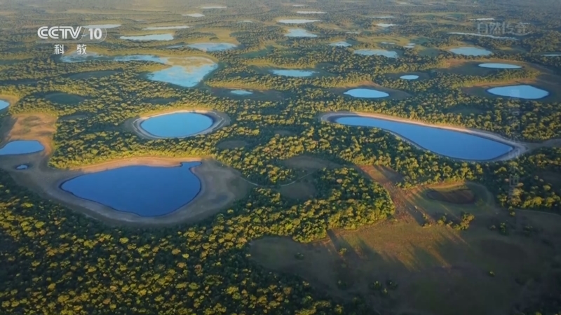 《自然传奇》 20251101 潘塔纳尔的水世界