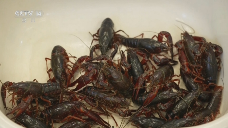 《智慧树》 20251103