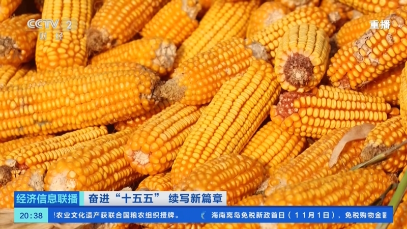 《经济信息联播》 20251102