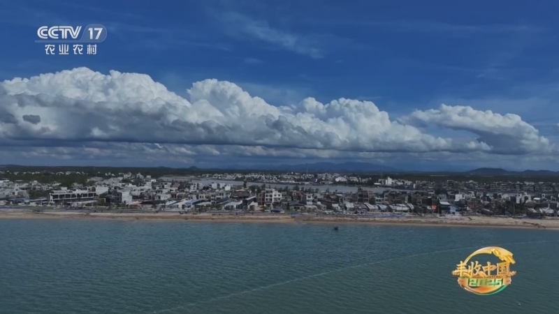 《谁知盘中餐》 20251108 丰收来敲门 鸡鸭别样鲜