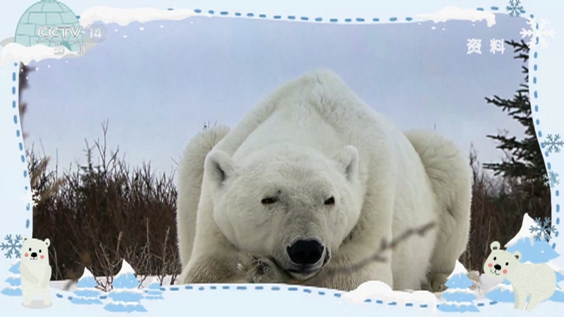 《小小智慧树》 20251113