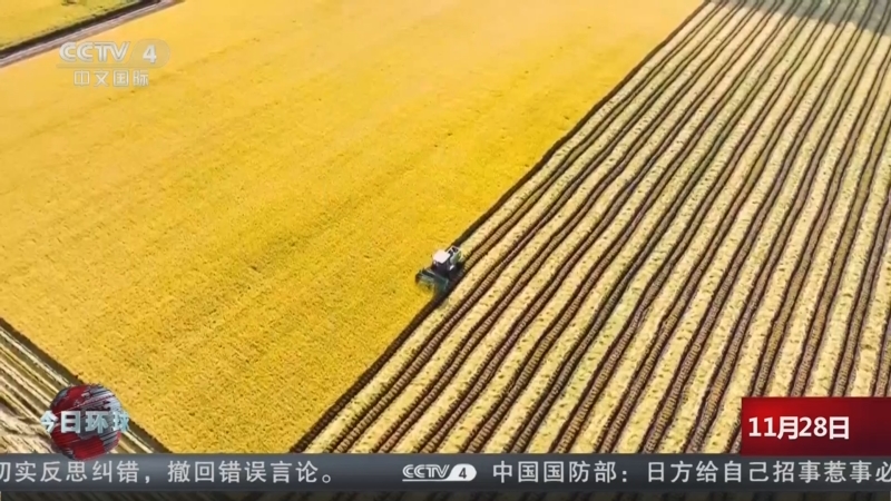 《今日环球》 20251128