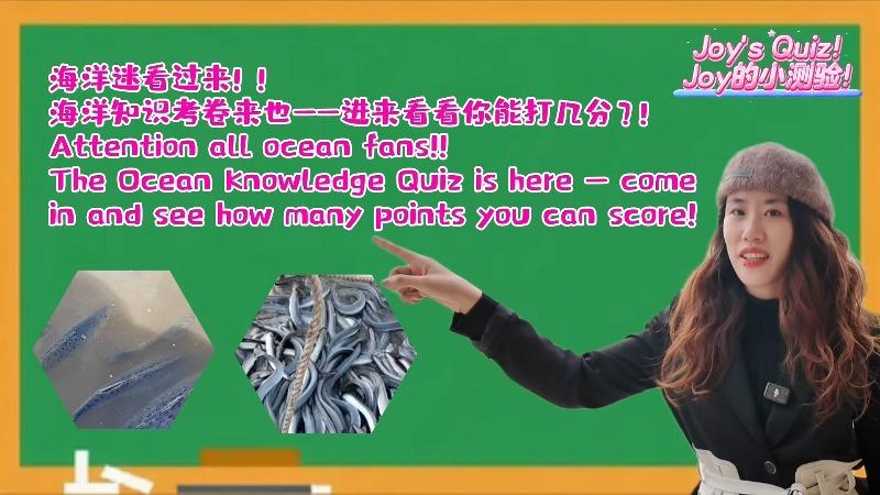 Attention all ocean fans! The Ocean Knowledge Quiz is here - come in and see how many points you can score!