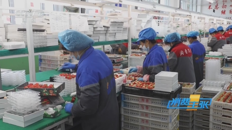 《消费主张》 20251209 冬季水果消费调查：红颜草莓抢先上市