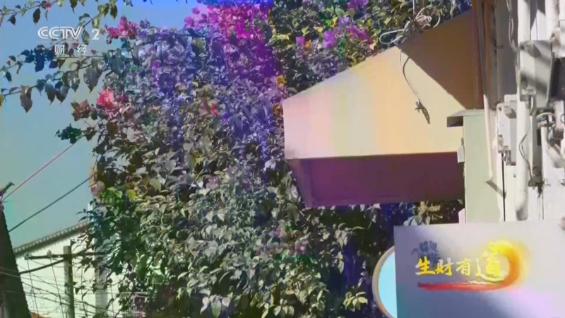 《生财有道》 20251219 瓷遇新生 猫趣古城