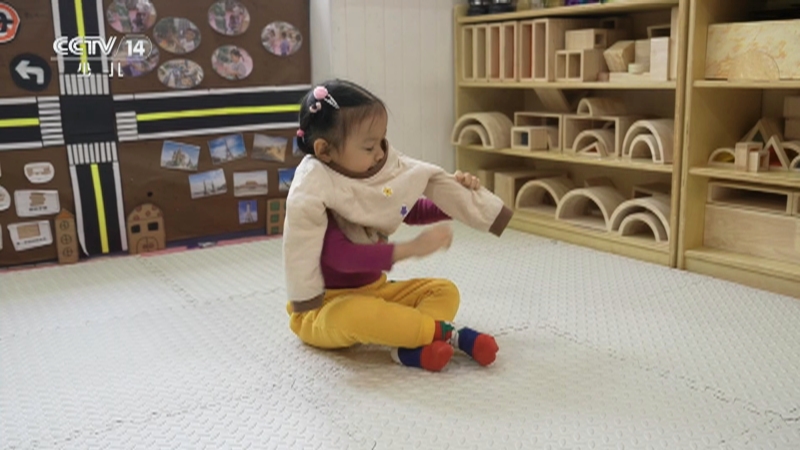 《小小智慧树》 20251229