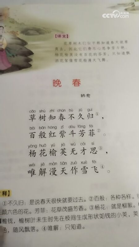 450_800竖版 竖屏gif 动态图 动图