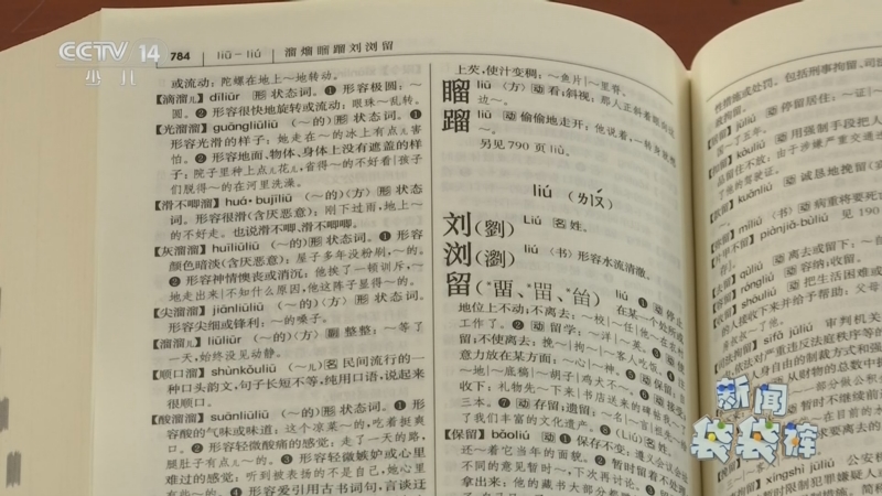 现代 汉语 词典 新闻袋袋裤 现代汉语词典 倒序本出版