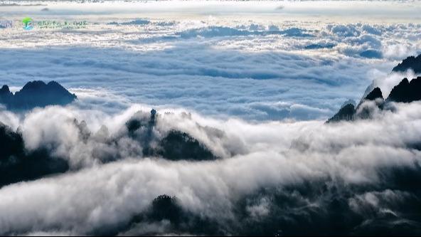 2026 Global Mayors Dialogue in Huangshan: A timeless rendezvous with nature and culture