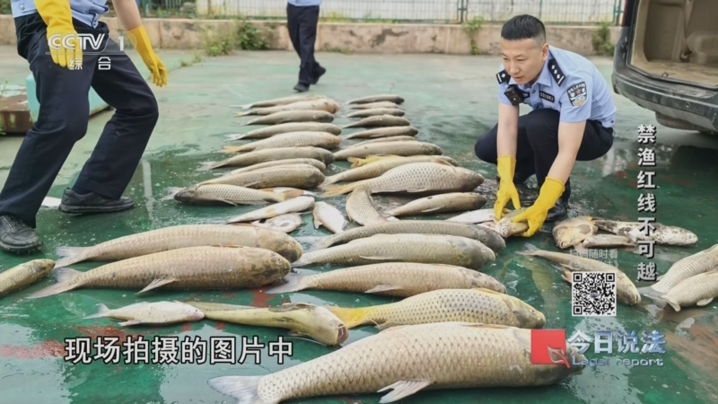 《今日说法》 20260622 禁渔红线不可越