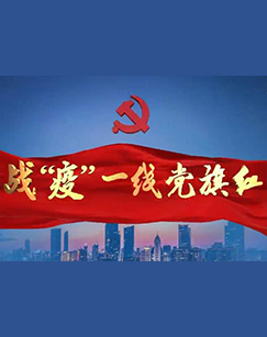 战疫一线党旗红