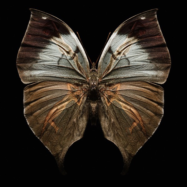   