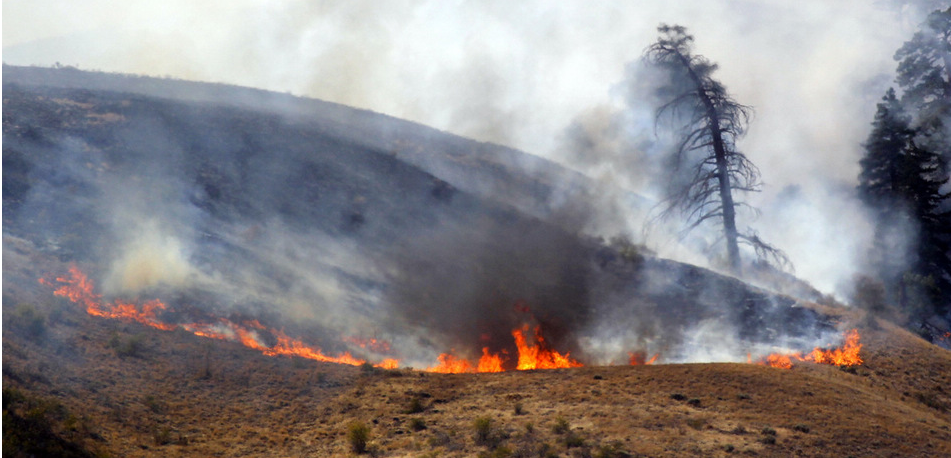   