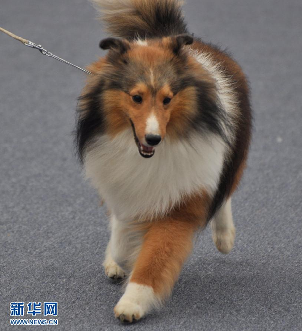     