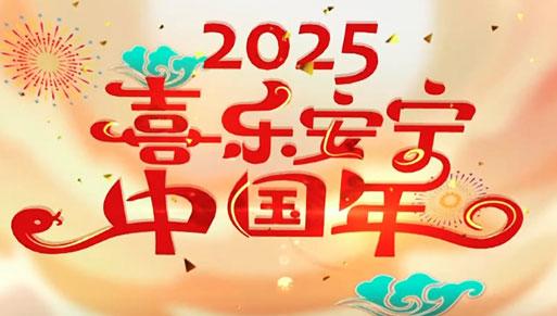 2025年春节联欢晚会