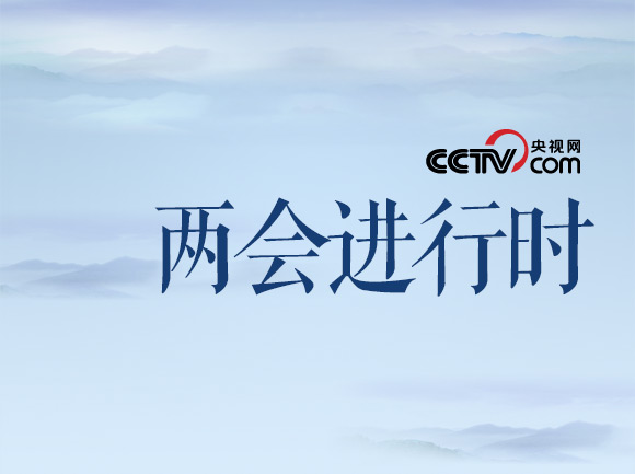 两会进行时