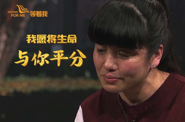 等着我官网_cctv等着我栏目唯一官方平台 寻亲报名 提供线索_cctv节目