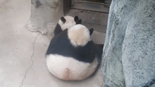 央视网_世界就在眼前