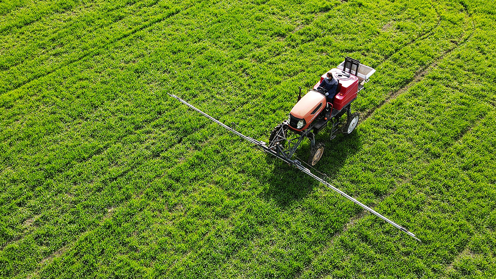 各地抓紧田间支招、精准管护全力“追苗情”