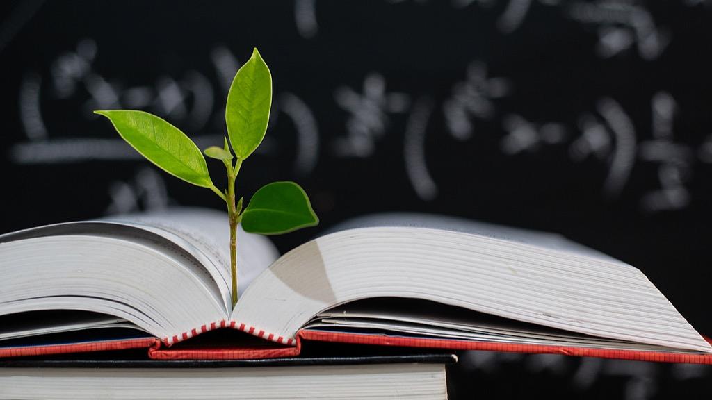 2026，这些教育工作关乎你我