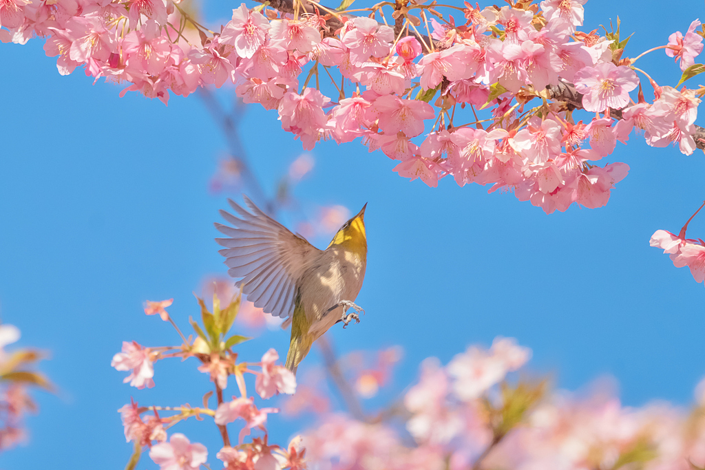 把课堂搬进春天 托底保障为春假护航