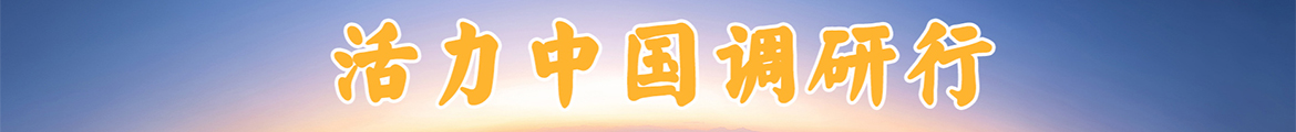 活力中国调研行