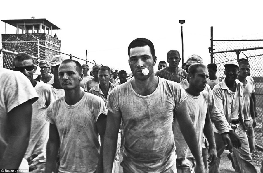 探访美国监狱农场 残酷的奴隶制刑罚体系