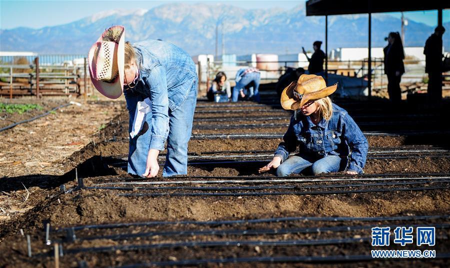 美国小农场的"另类"农家乐