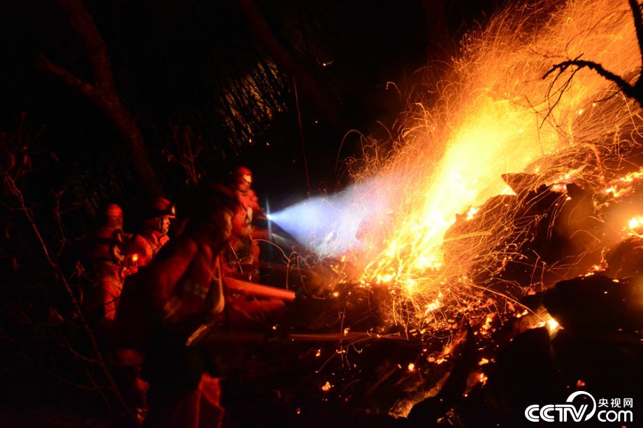 网络媒体国防行森林卫士穿越火线守护一山碧绿
