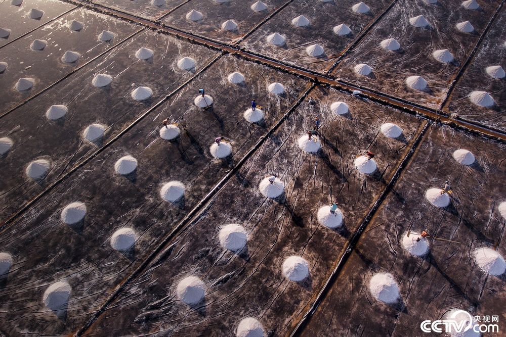 越南百里"银滩" 烈日下晒盐画面唯美