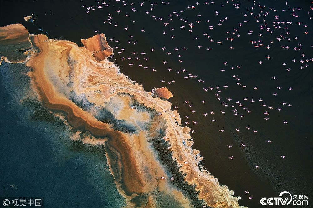 2/3 我要分享 这一组拍摄于肯尼亚马加迪湖和坦桑尼亚纳特隆盐湖的