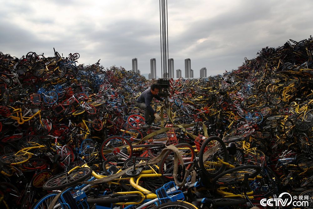 厦门一空地共享单车堆积如山工人每天处理一千多辆