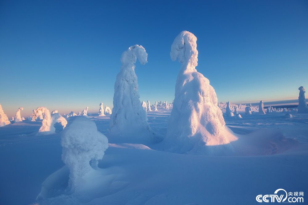 摄影师拍摄北极圈罕见"雪树"奇观