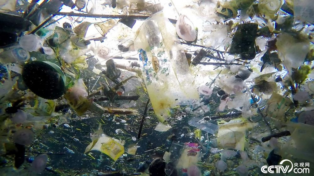 巴厘岛海洋垃圾成灾