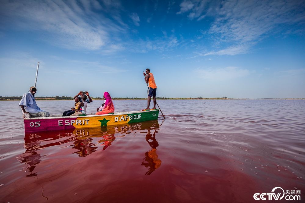 湖里的杜氏盐藻将水变成了粉红色.