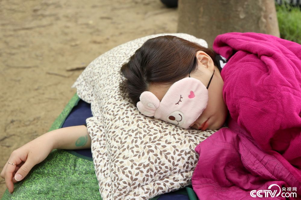 比赛睡觉!韩国首尔8500人森林躺地比谁更能睡
