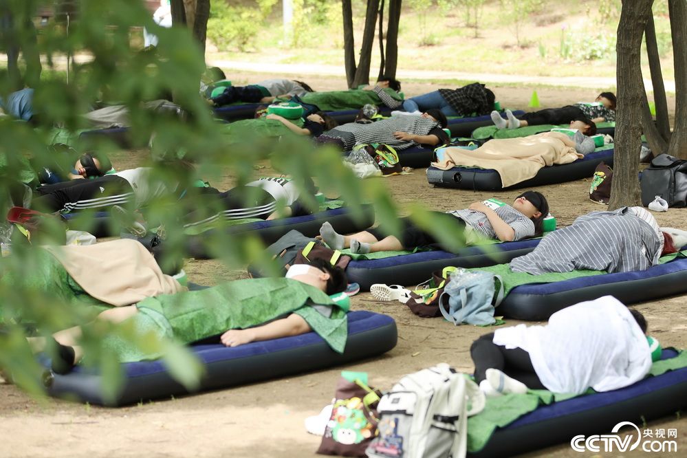 比赛睡觉!韩国首尔8500人森林躺地比谁更能睡