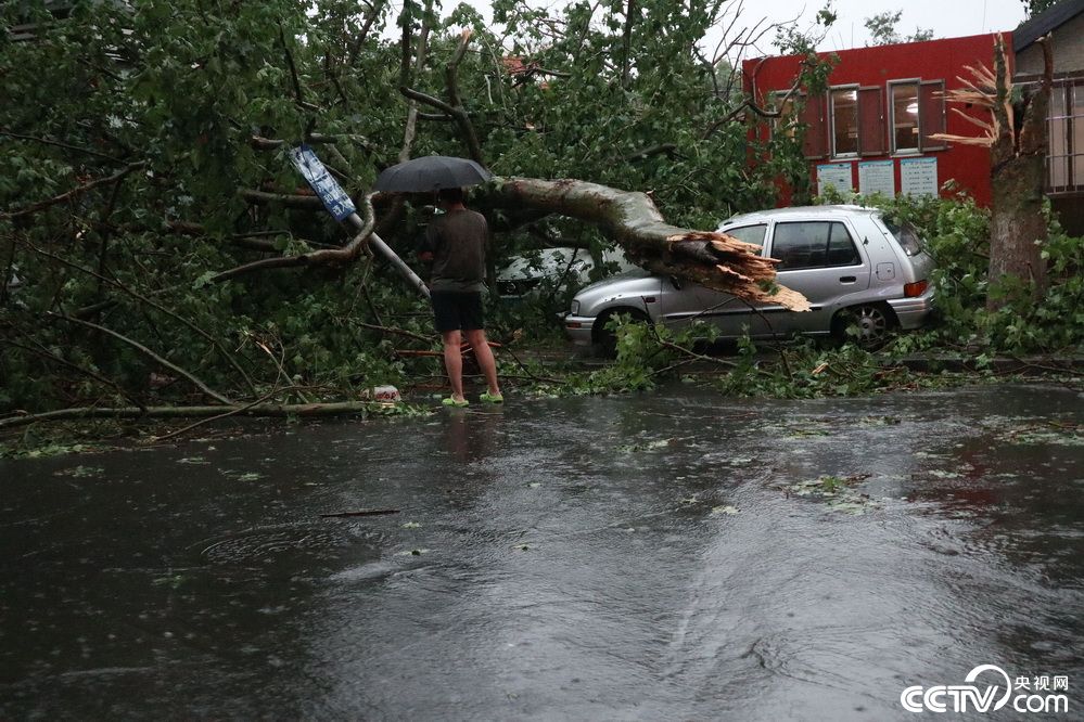青岛遭遇暴雨大风天气 部分道路积水严重树木倒伏